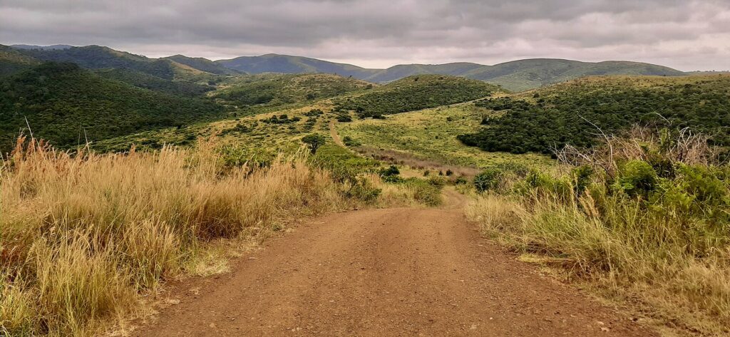 Uma trilha de terra vermelha desce entre capins altos e dourados rumo a colinas verdes que se sucedem até o horizonte sob um céu cinza