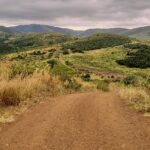 Uma trilha de terra vermelha desce entre capins altos e dourados rumo a colinas verdes que se sucedem até o horizonte sob um céu cinza