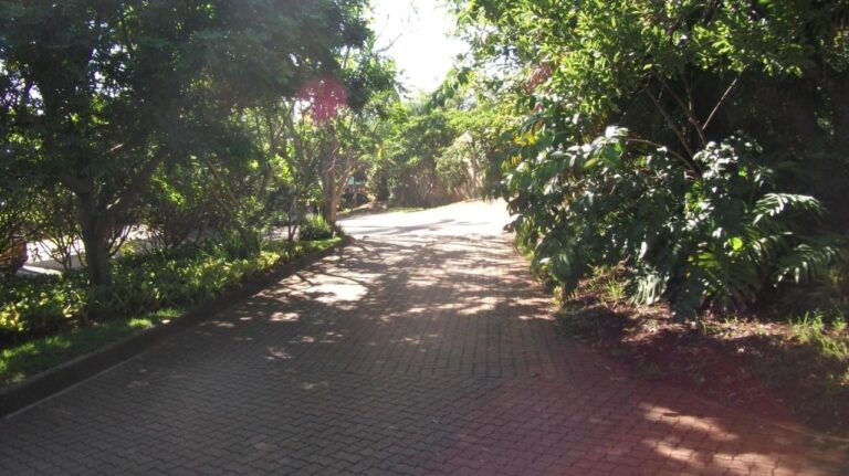 Um caminho pavimentado à sombra das árvores e dos canteiros da propriedade