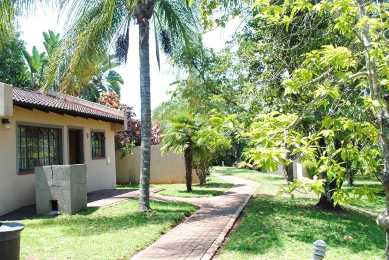 Um caminho de tijolos que serpenteia pelo gramado entre os chalés, sob as palmeiras e as árvores