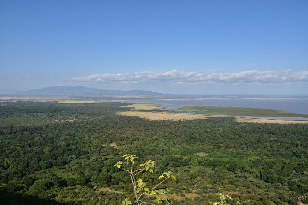 Vista de cima, da escarpa, sobre a floresta verde, a planície e o lago Manyara ao longe