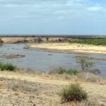 O rio Galana, largo e marrom, faz uma curva entre bancos de areia clara e arbustos, sob um céu nublado