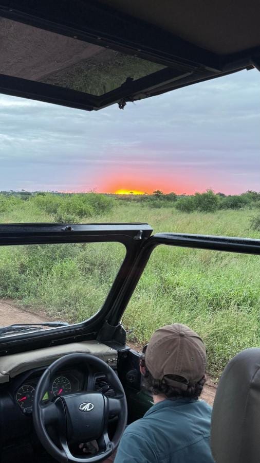 Um sol vermelho no horizonte da savana, visto de um veículo de safári aberto