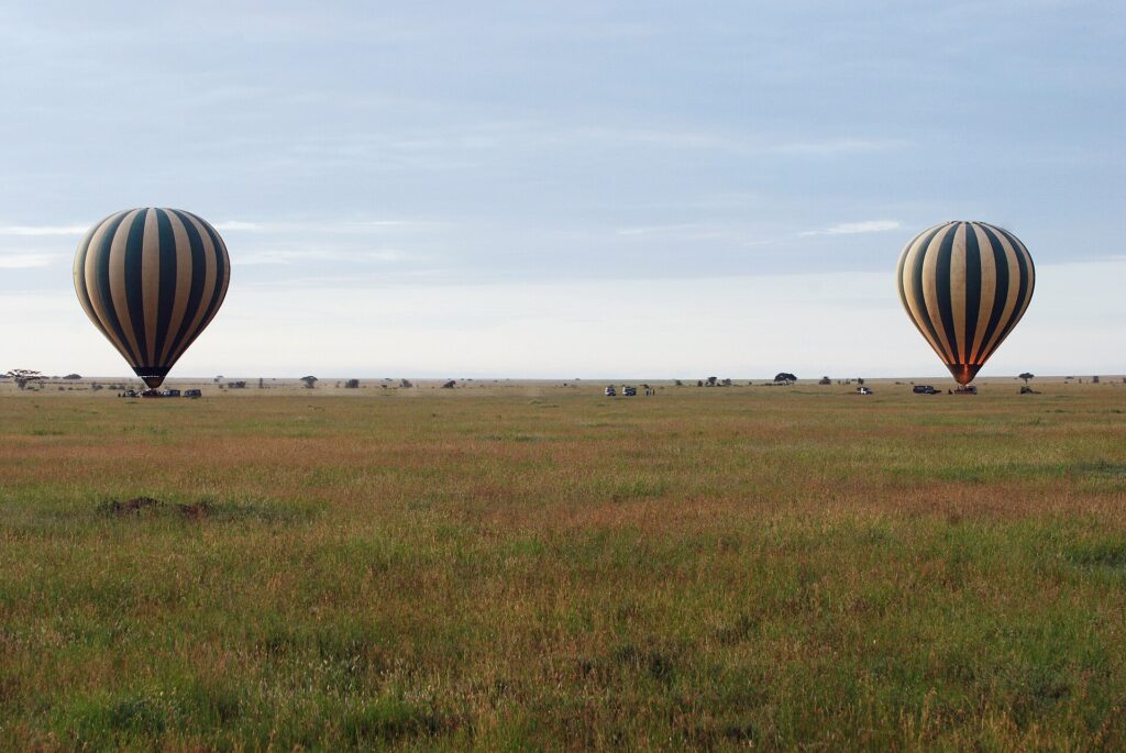 Dois balões listrados pousam bem cedo na planície verde, com os 4x4 que os acompanham