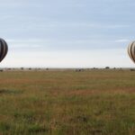Dois balões listrados pousam bem cedo na planície verde, com os 4x4 que os acompanham