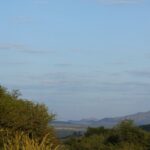 Três balões amarelos e pretos flutuam em um céu azul-claro sobre a savana verde, com as colinas da cratera no horizonte