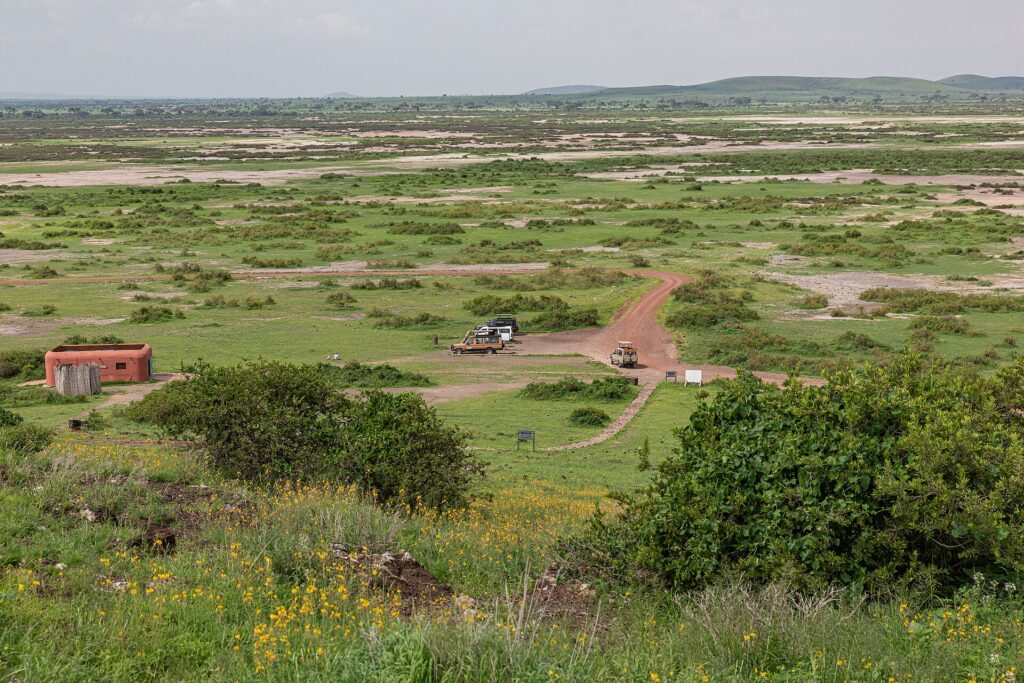 Vista de Observation Hill sobre uma planície verde manchada de sal, uma trilha vermelha, três 4x4 estacionados perto de um pequeno prédio ocre e colinas baixas ao longe