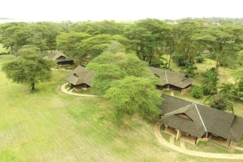 Os telhados de palha do Ol Tukai Lodge entre as acácias, no Parque Nacional de Amboseli