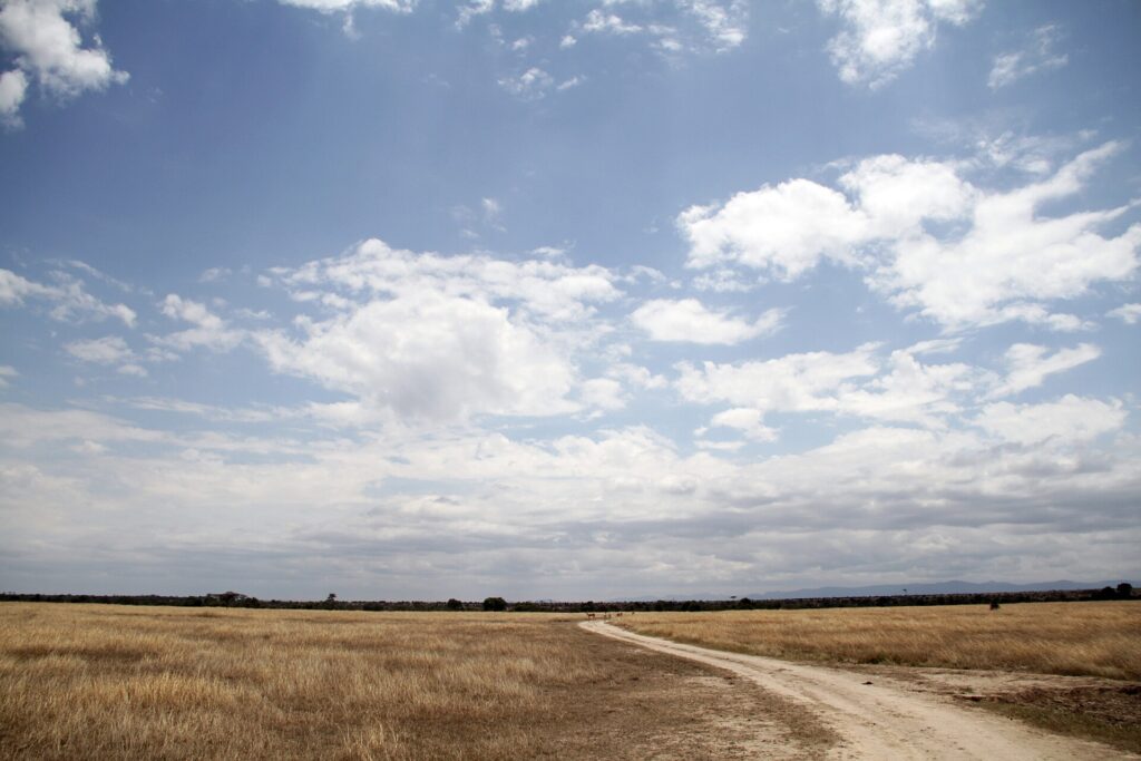 Uma trilha de terra clara atravessa uma planície de capim seco sob um grande céu azul carregado de nuvens, com alguns antílopes ao longe e colinas no horizonte