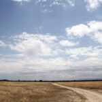 Uma trilha de terra clara atravessa uma planície de capim seco sob um grande céu azul carregado de nuvens, com alguns antílopes ao longe e colinas no horizonte