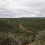 Vista ampla de colinas cobertas por um matagal verde e fechado sob um céu cinza, com um pequeno vale claro e uma estrada de terra no meio