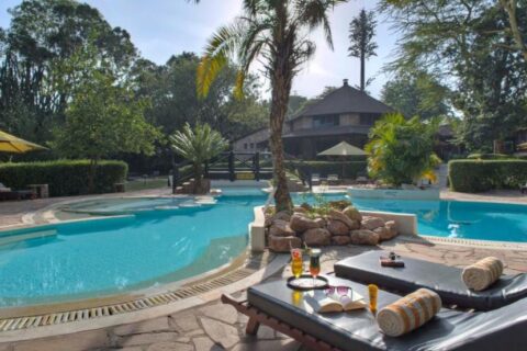 A piscina em forma de lagoa do Sarova Mara Game Camp, em volta de uma ilhota de pedras com uma palmeira