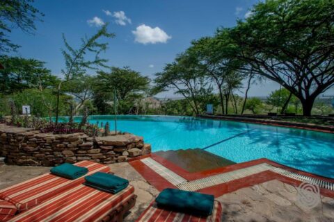 A piscina de borda infinita do Serengeti Serena Safari Lodge, com espreguiçadeiras listradas de vermelho e toalhas verdes, sob as acácias