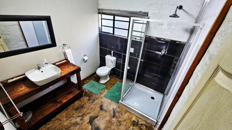 Um banheiro com box de vidro, vaso sanitário e uma cuba de apoio sobre um móvel de madeira escura